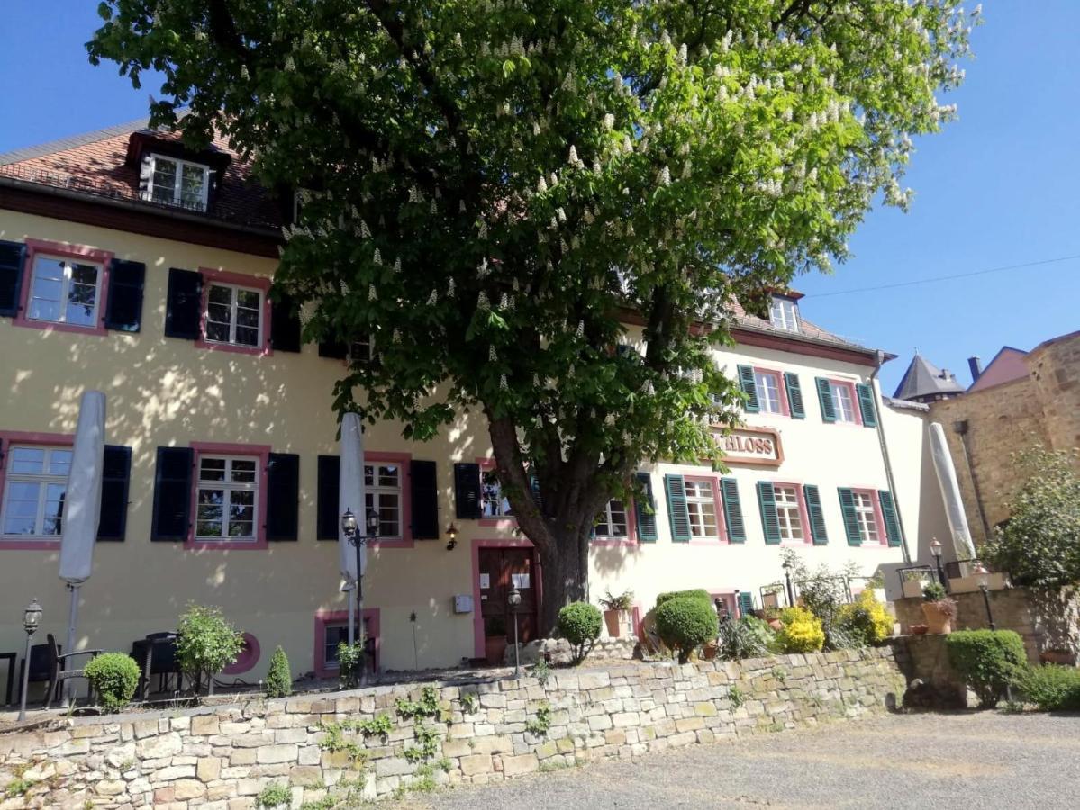Hotel Am Schloss Alzey Extérieur photo